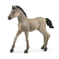 SCHLEICH FIGURINE POULAIN CRIOLLO DEFINITIVO>Enfant Figurines·Figurines Liées À L'Équitation