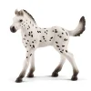 SCHLEICH FIGURINE POULAIN KNABSTRUPPER>Enfant Figurines·Figurines Liées À L'Équitation