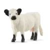 SCHLEICH FIGURINE VACHE GALLOWAY>Enfant Figurines·Figurines Liées À La Nature