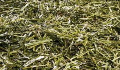 TWENTY FOURRAGE LUZ 20KG> Aliments Pour Chevaux·Fourrages Cheval|Aliments Pour Chevaux·Fourrages Cheval