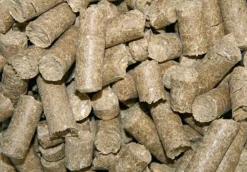 KERBL FRIANDISE DELIZIA 1KG> Friandises·Friandises Et Récompenses|Friandises·Friandises Et Récompenses