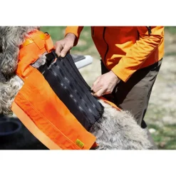CANIHUNT GILET PROTECT PRO L'ORIGINAL><noscript><img width=