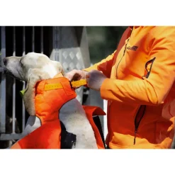 CANIHUNT GILET PROTECT PRO L'ORIGINAL><noscript><img width=