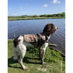 GILET CHAUD ET CAMO POUR CHIEN><noscript><img width=