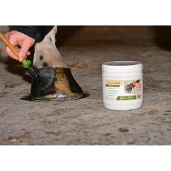 NATURAL INNOV GRAISSE NATURAL'COAT INCOLORE><noscript><img width=