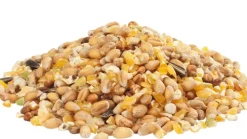 VERSELE LAGA GRA-MIX POULES D'ARDENNES 20KG> Élevage Poules Et Volailles·Alimentation Poules Pondeuses