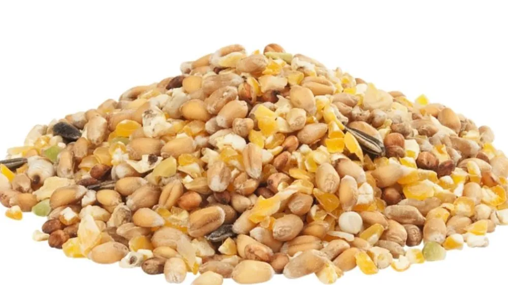 VERSELE LAGA GRA-MIX POULES D'ARDENNES 20KG> Élevage Poules Et Volailles·Alimentation Poules Pondeuses