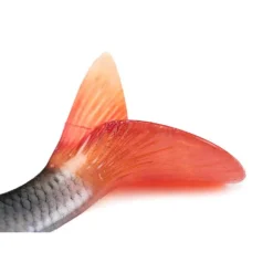 FOX RAGE LEURRE REPLICANT ULTRA REAL 14CM><noscript><img width=