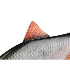 FOX RAGE LEURRE REPLICANT ULTRA REAL 18CM> Leurres Souples Carnassiers·Leurres Souples Fox Rage