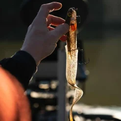 FOX RAGE LEURRE SOUPLE SLICK EEL LOADED 21CM><noscript><img width=