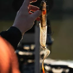 FOX RAGE LEURRE SOUPLE SLICK EEL LOADED 35CM><noscript><img width=