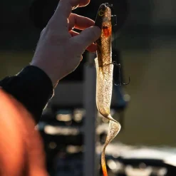 FOX RAGE LEURRE SOUPLE SLICK EEL LOADED 28CM><noscript><img width=