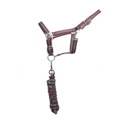 T DE T LICOL + LONGE BORDEAUX/GRIS> Licols Et Longes·Panoplies Licol + Longe