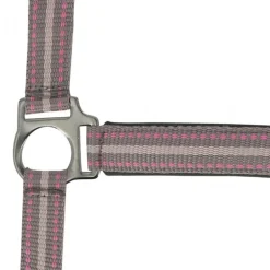 NORTON LICOL BOUCLERIE NOIRE SHETLAND><noscript><img width=