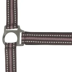 NORTON LICOL BOUCLERIE NOIRE SHETLAND><noscript><img width=
