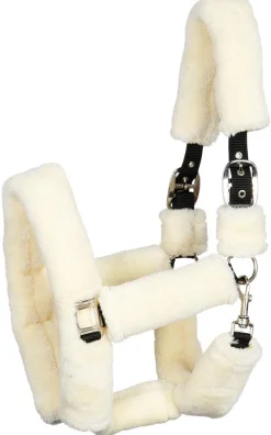 HARRY'S HORSE LICOL DE TRANSPORT TEDDY ECRU> Licols Et Longes·Licols Synthétiques