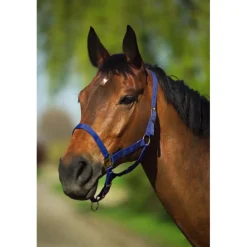 RIDING WORLD LICOL NYLON FIRST NOIR> Licols Et Longes·Licols Synthétiques