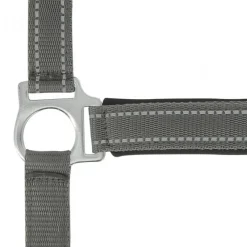 NORTON LICOL REFLECTIVE COB><noscript><img width=