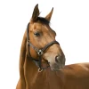 NORTON LICOL REFLECTIVE PONEY> Licols Et Longes·Licols Synthétiques