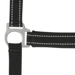 NORTON LICOL REFLECTIVE PONEY> Licols Et Longes·Licols Synthétiques