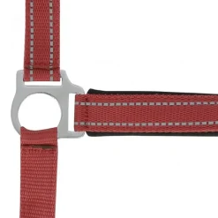 NORTON LICOL REFLECTIVE PONEY><noscript><img width=