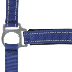NORTON LICOL REFLECTIVE PONEY><noscript><img width=