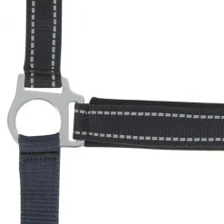 NORTON LICOL REFLECTIVE PONEY><noscript><img width=