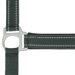 NORTON LICOL REFLECTIVE PONEY><noscript><img width=