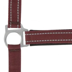 NORTON LICOL REFLECTIVE PONEY><noscript><img width=