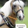 EDITION VIGOT LIVRE 50 CONSEILS POUR L'ATTELAGE> Livres Sur L'Équitation·Livres Sur Le Travail Du Cheval