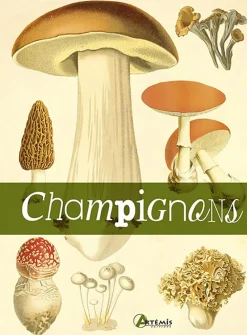ARTEMIS LIVRE CHAMPIGNONS> Livres Sur La Nature·Livres Sur La Cueillette Des Champignons