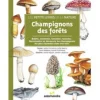 EDITIONS SALAMANDRE LIVRE CHAMPIGNONS DES FORETS> Livres Sur La Nature·Livres Sur La Cueillette Des Champignons