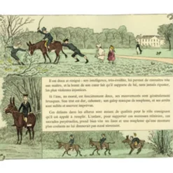 EDITION DE MONTBEL LIVRE L'EQUITATION PAR CRAFTY> Livres Sur L'Équitation·Livres Généralistes Sur L'Équitation