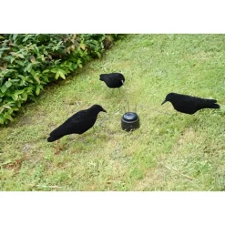 TERZEO CHASSEURS MANEGE A CORBEAUX X3> Chasse Des Nuisibles·Formes Et Blettes De Pies Et Corbeaux