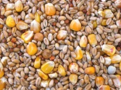 LE PIGEONNIER MELANGES PIGEONS BC 20KG> Élevage Pigeons Et Colombophilie·Alimentation Pigeons|Élevage Pigeons Et Palombes·Alimentation Pigeons