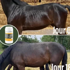 NATURAL INNOV NATURAL'DIGEST><noscript><img width=