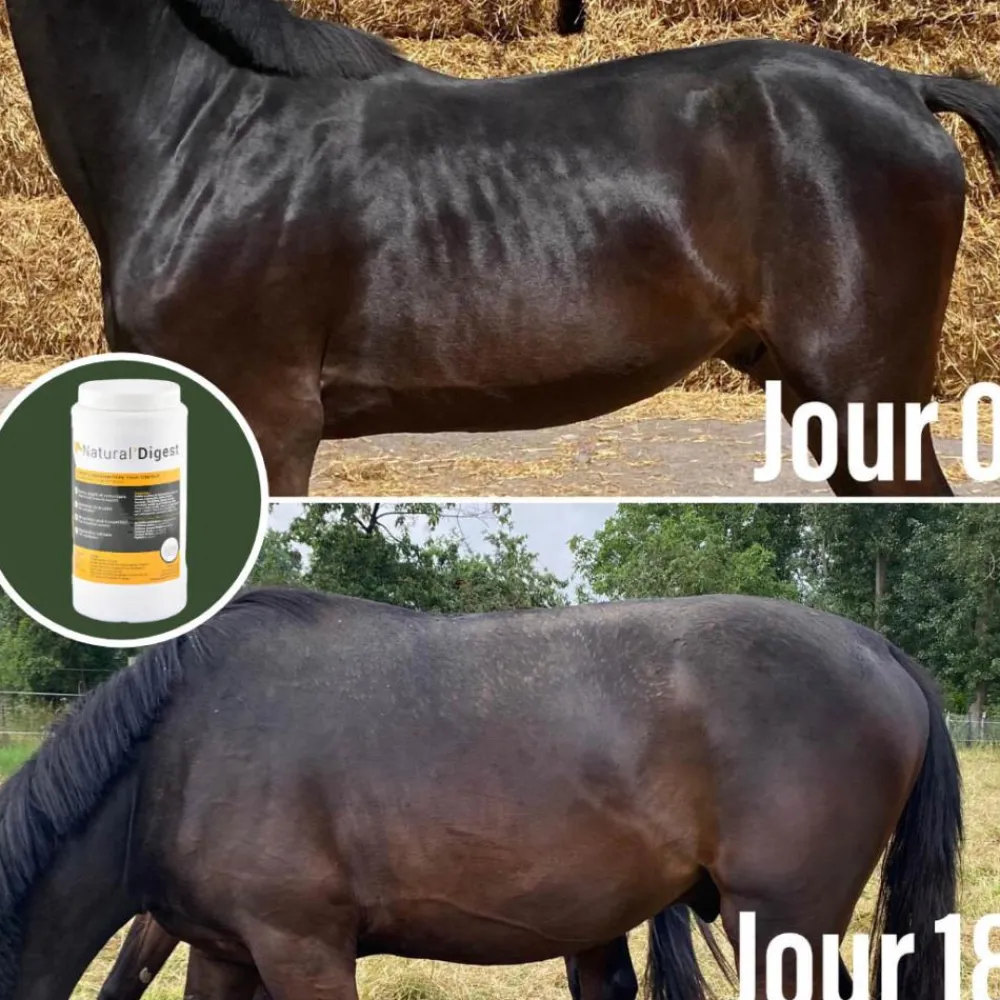 NATURAL INNOV NATURAL'DIGEST> Compléments Alimentaires·Estomac Et Digestion
