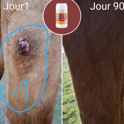 NATURAL INNOV NATURAL'IMMUNE><noscript><img width=