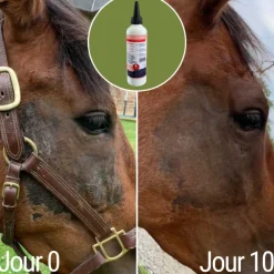 NATURAL INNOV NATURALITCH><noscript><img width=