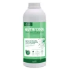 RAVENE NUTRI'COOL 900ML> Compléments Alimentaires·Comportement Et Stress