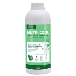 RAVENE NUTRI'COOL 900ML> Compléments Alimentaires·Comportement Et Stress