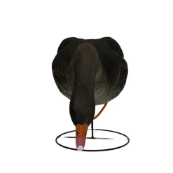 TERZEO CHASSEURS OIE CENDREE HD SUR PATTES MANGEUSE> Chasse Du Gibier D'Eau·Formes Et Blettes D'Oies