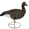 TERZEO CHASSEURS OIE RIEUSE HD SUR PATTES GAGNAGE> Chasse Du Gibier D'Eau·Formes Et Blettes D'Oies