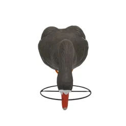 TERZEO CHASSEURS OIE RIEUSE HD SUR PATTES MANGEUSE> Chasse Du Gibier D'Eau·Formes Et Blettes D'Oies