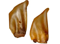 ANKA OREILLES DE BOEUF FUMEES X10> Friandises·Filets Snacks Et Chips|Friandises·Biscuits