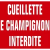 KROMA PANNEAU AKILUX CUEILL.CHAMPIGNONS> Panneaux Signalétiques·Panneaux Signalétiques Divers|Panneaux Signalétiques·Panneaux Signalétiques Divers