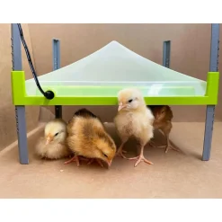 RIVER SYSTEM PANNEAU CHAUFFANT POUR POUSSINS 30,5X23 CM><noscript><img width=