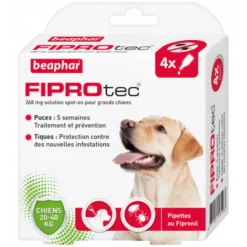 BEAPHAR PIPETTES FIPROTEC GRAND CHIEN X4> Antiparasitaires·Pipettes Antiparasitaires Insecticides|Antiparasitaires·Pipettes Et Comprimés Anti-Puces - Anti-Tiques