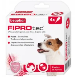 BEAPHAR PIPETTES FIPROTEC PETIT CHIEN X4> Antiparasitaires·Pipettes Antiparasitaires Insecticides|Antiparasitaires·Pipettes Et Comprimés Anti-Puces - Anti-Tiques