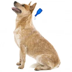 BEAPHAR PIPETTES FIPROTEC PETIT CHIEN X4> Antiparasitaires·Pipettes Antiparasitaires Insecticides|Antiparasitaires·Pipettes Et Comprimés Anti-Puces - Anti-Tiques